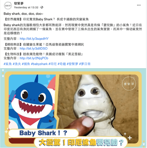 Baby Shark' Heads to Brazil